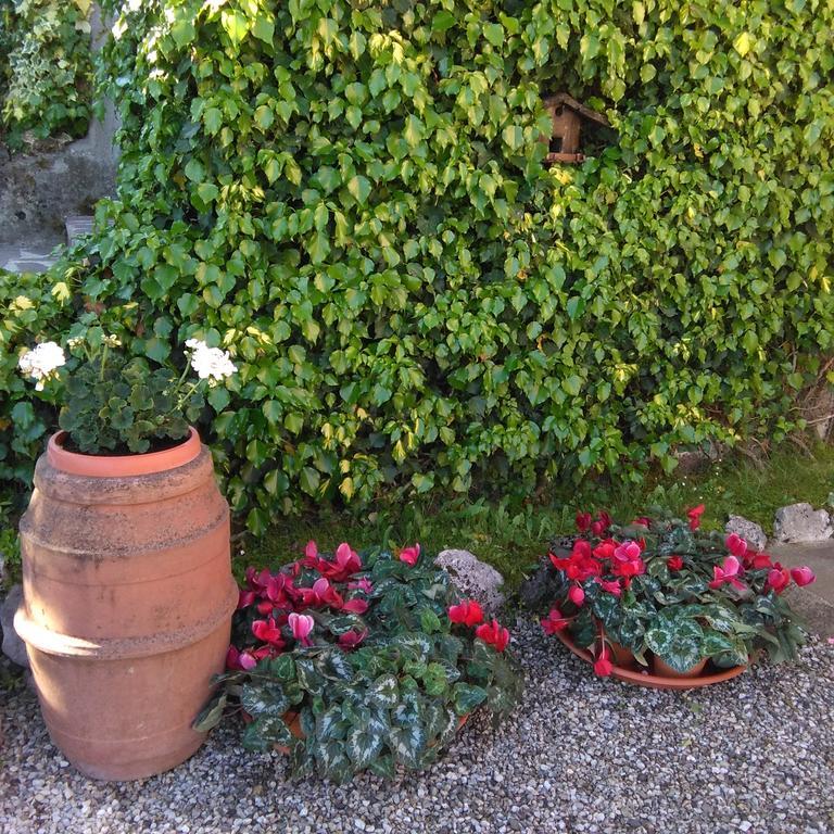 Bargoncello Appartamento Riccò del Golfo di Spezia