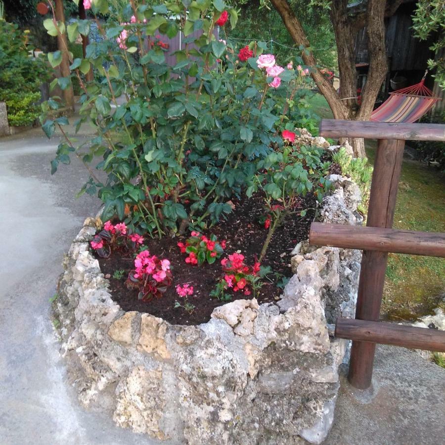 Bargoncello Appartamento *