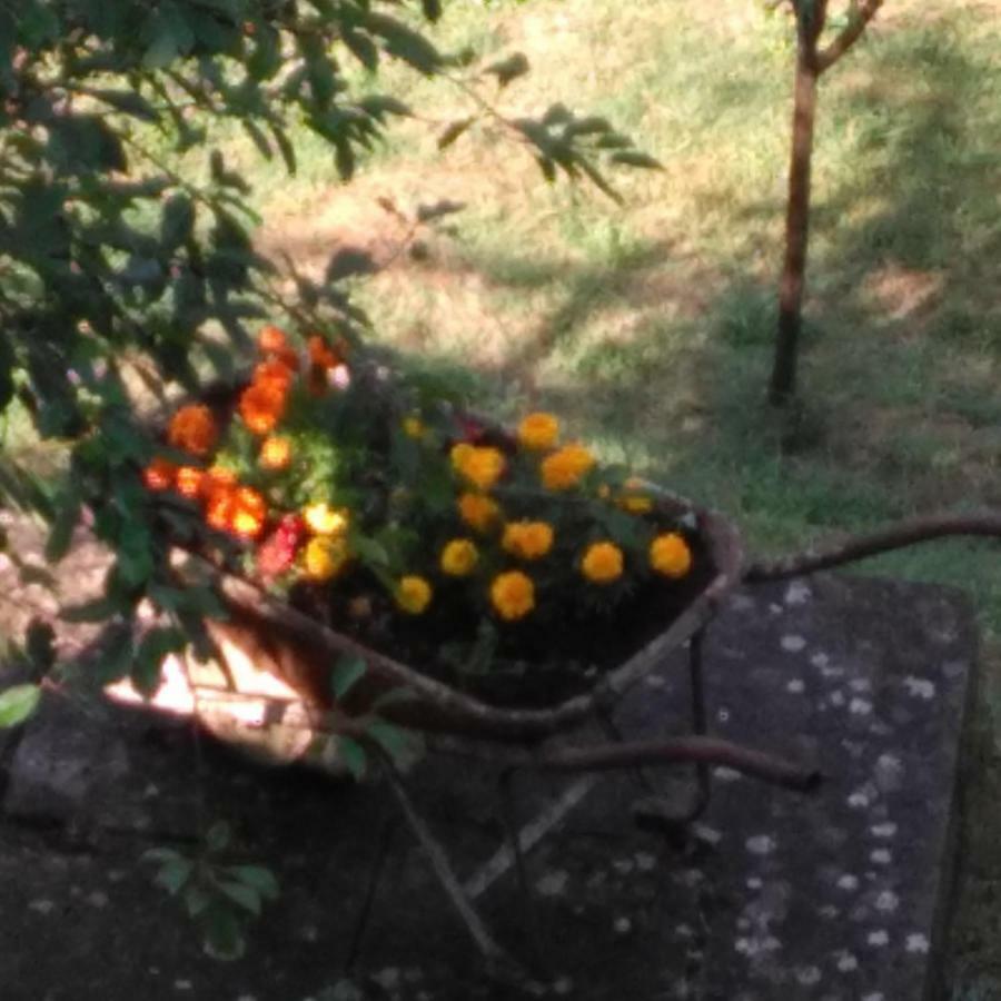 Bargoncello Appartamento