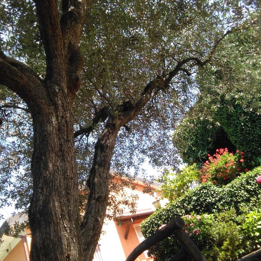 Appartamento Bargoncello Riccò del Golfo di Spezia